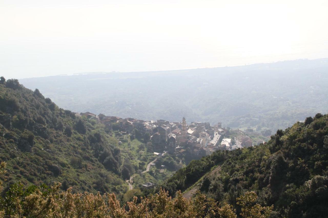 Rustica Διαμέρισμα Prunete Εξωτερικό φωτογραφία